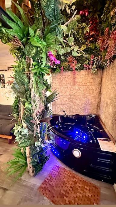 Jungle Avec Jaccuzi Au Coeur De *