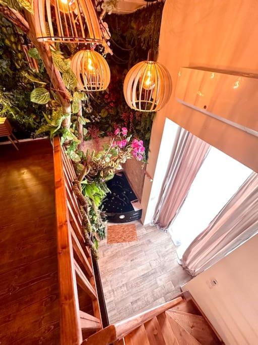 Apartment Jungle Avec Jaccuzi Au Coeur De