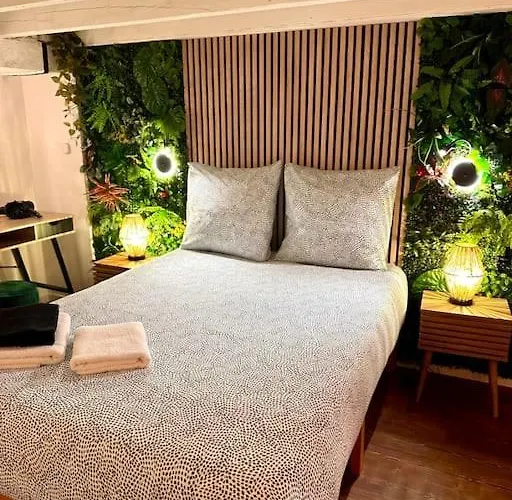Jungle Love Room Avec Jaccuzi Au Coeur De Nice