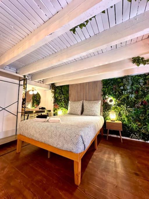 Jungle Avec Jaccuzi Au Coeur De Appartamento Nizza