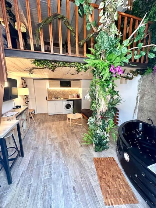 Jungle Avec Jaccuzi Au Coeur De Appartamento