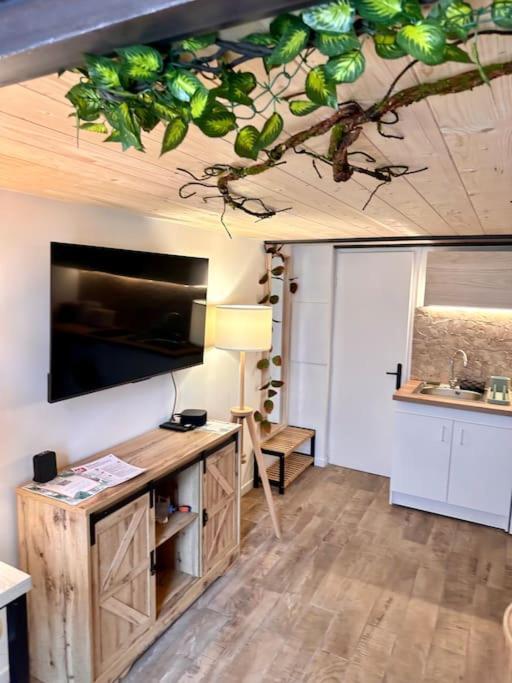 Jungle Avec Jaccuzi Au Coeur De Appartamento *