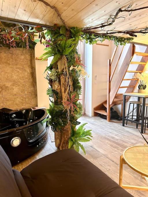 Jungle Avec Jaccuzi Au Coeur De Nizza