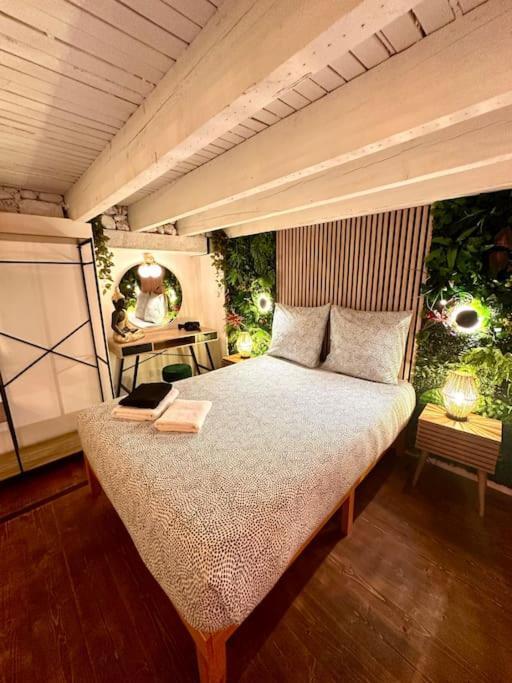 Appartamento Jungle Avec Jaccuzi Au Coeur De