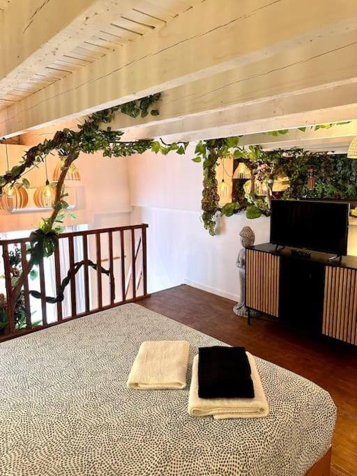 Jungle Avec Jaccuzi Au Coeur De Appartamento *