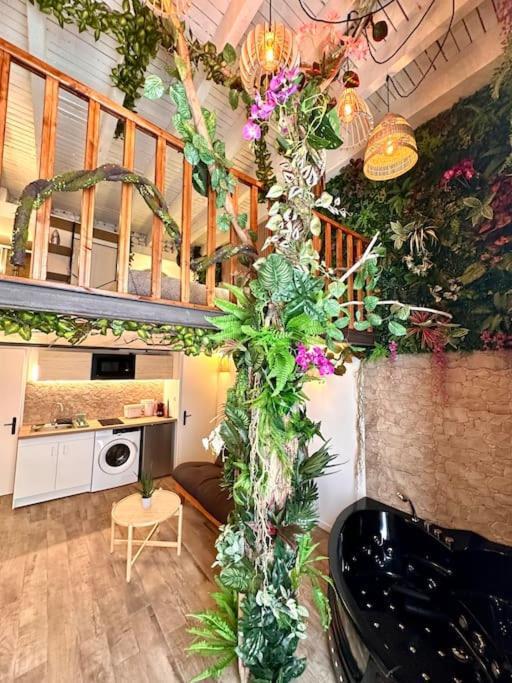 Appartamento Jungle Avec Jaccuzi Au Coeur De *