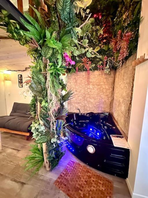 Jungle Avec Jaccuzi Au Coeur De Nizza
