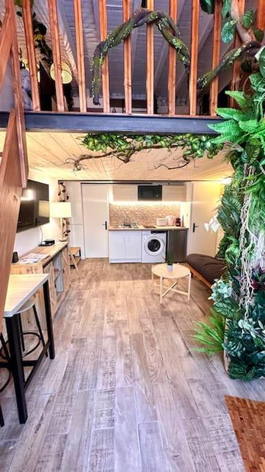 Jungle Avec Jaccuzi Au Coeur De Appartamento