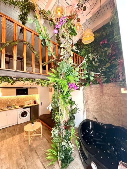 Appartamento Jungle Avec Jaccuzi Au Coeur De