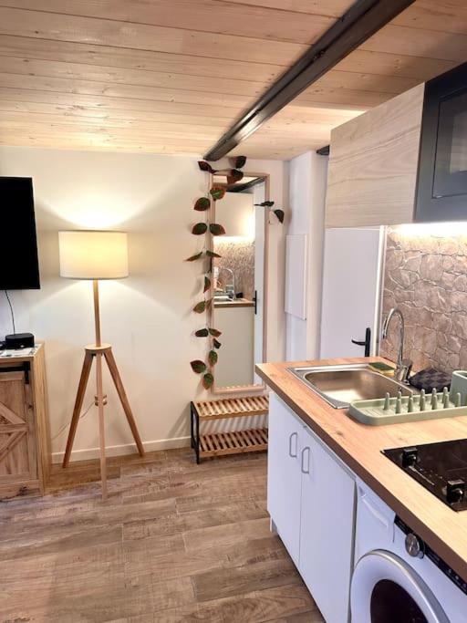 Jungle Avec Jaccuzi Au Coeur De Appartamento Nizza