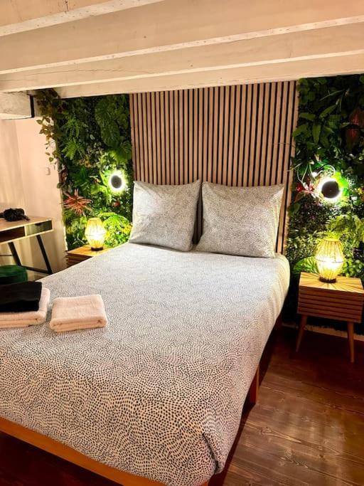 Appartamento Jungle Avec Jaccuzi Au Coeur De