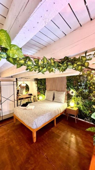 Appartamento Jungle Avec Jaccuzi Au Coeur De Nizza